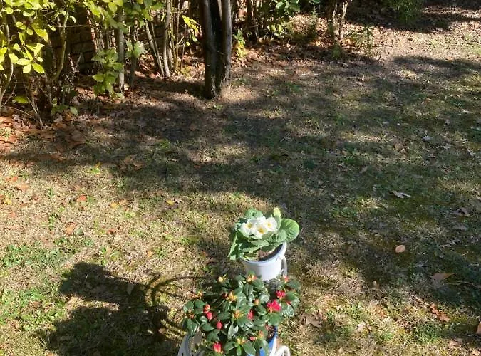 Relais Jardin בית נופש San Vivaldo